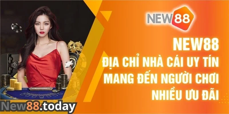 NEW88 - Địa chỉ nhà cái uy tín mang đến người chơi nhiều ưu đãi